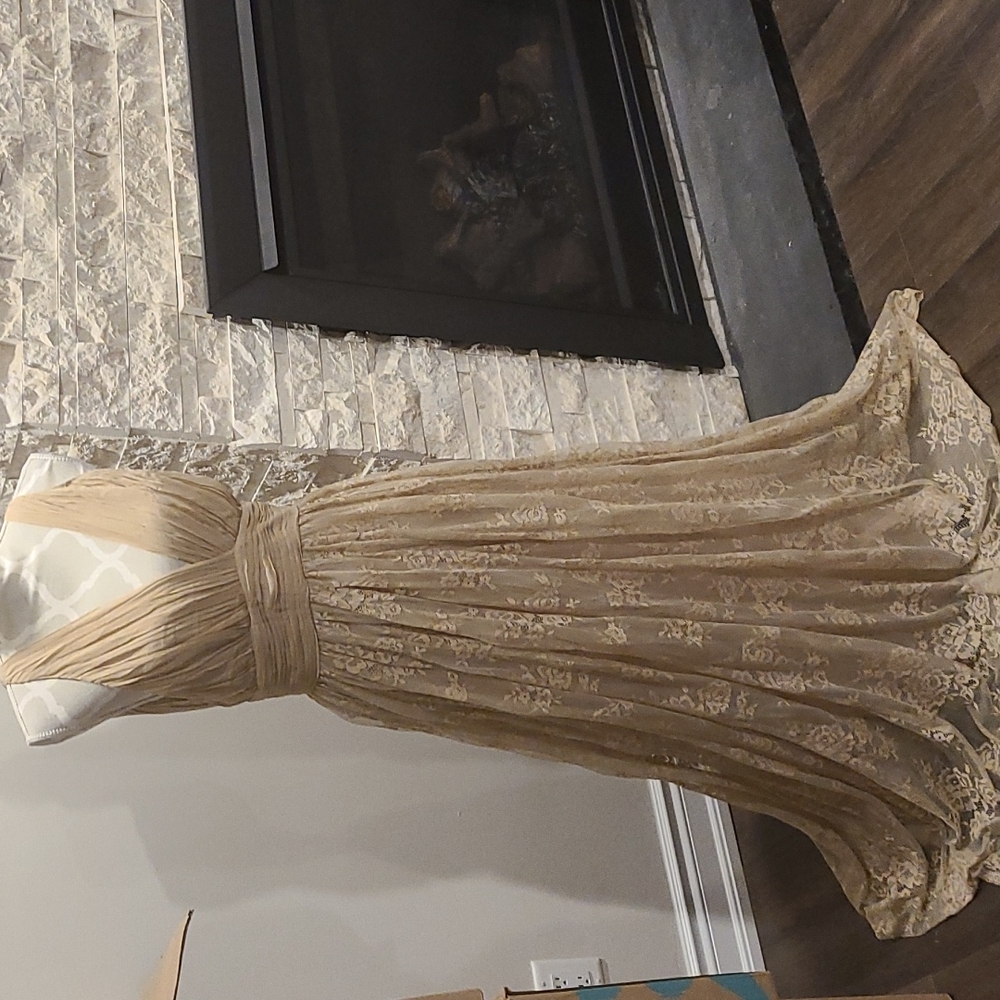 Zara silk blend lace sleeveless gown / dress